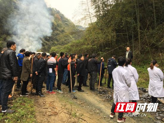 武陵源区协合乡开展森林防火应急演练