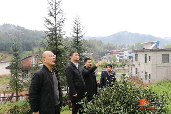 金洞：强排查 防隐患