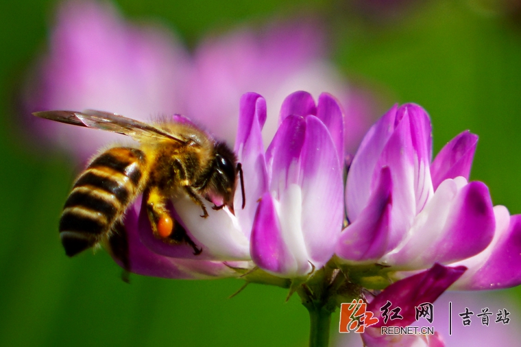 DSC01948_??.jpg
