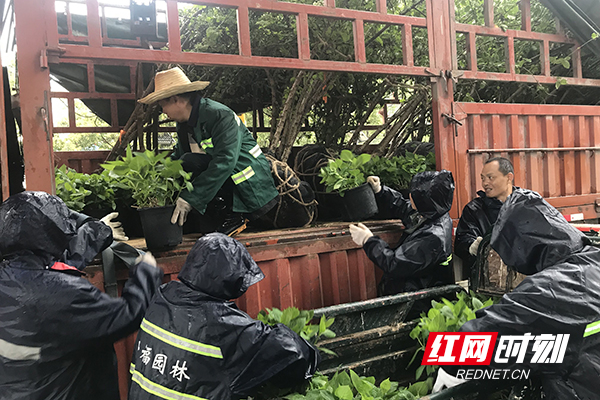 微信图片_20190404204750.jpg 微信图片_20190404204750.jpg