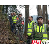 守护平安清明 湘西州基层林业人在行动