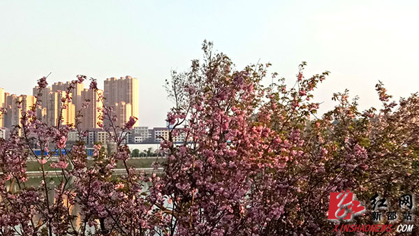 ????_20190406103150.jpg ????_20190406103150.jpg