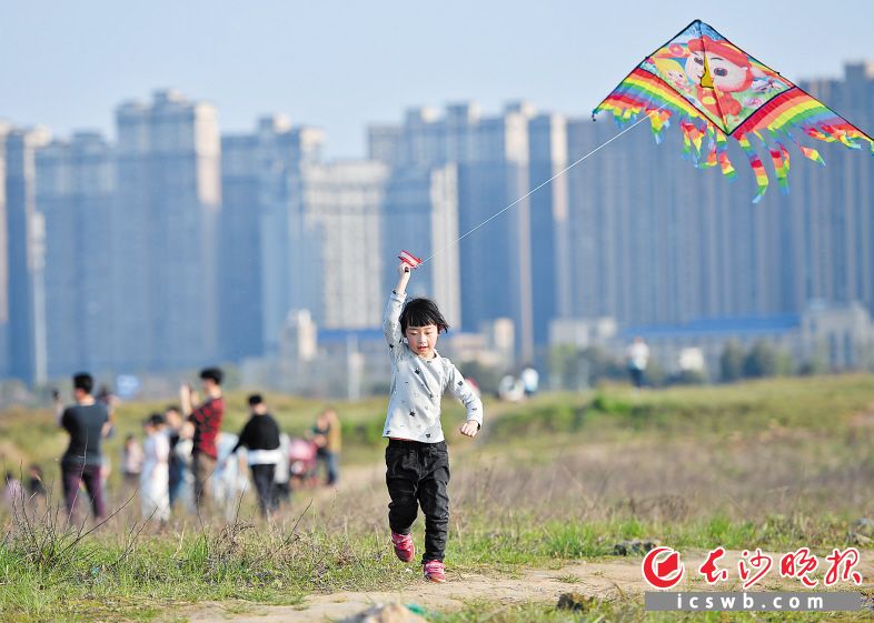 　　←昨日下午，星沙松雅湖畔，众多市民游客在放风筝、踏青，享受这明媚春光。  　　长沙晚报全媒体记者 王志伟 摄