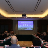 粤港澳大湾区实业家来益阳对接产业合作