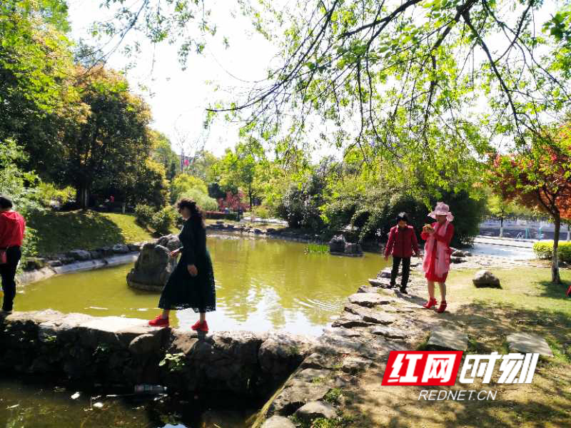 难得的好天气，适合全家人外出踏青。（通讯员 刘空军 怀化报道）