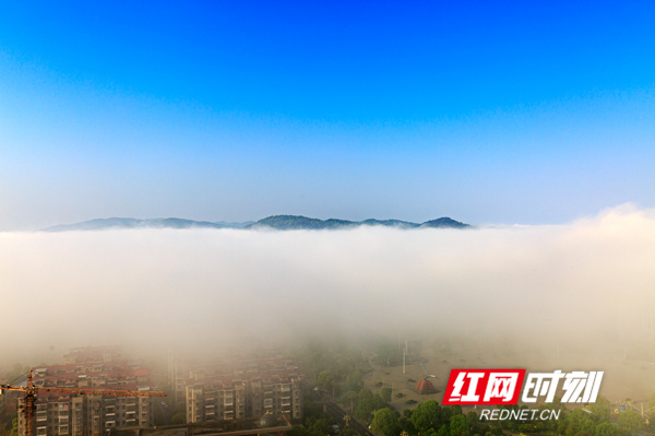 ​​​​​4月7日，湖南省东安县紫水河两岸出现罕见平流雾景观，从高处俯瞰，楼宇、山峰间云雾缭绕，若隐若现，县城碧空如洗，草木葱茏，宛如画卷。（ 唐明登）