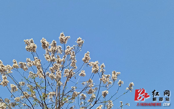 ????_20190407101132.jpg ????_20190407101132.jpg