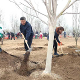 习近平：推动国土绿化不断取得实实在在的成效