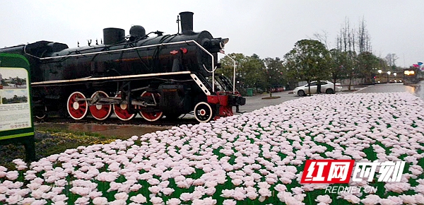 mmexport1554636396768.jpg mmexport1554636396768.jpg