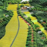 1800万元奖补！2019年绿色循环优质高效特色农业促进项目启动申报