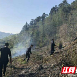 清明接连发生三起山火 泸溪公安化身消防员奋力扑救
