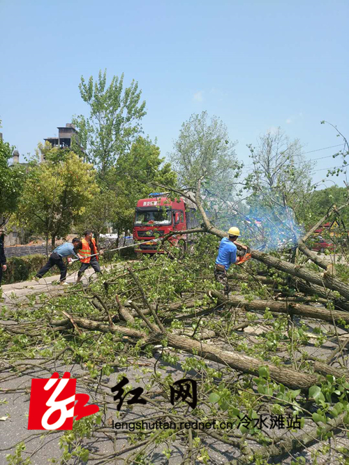012fc4208336bd8d04753c66f624185_??.jpg