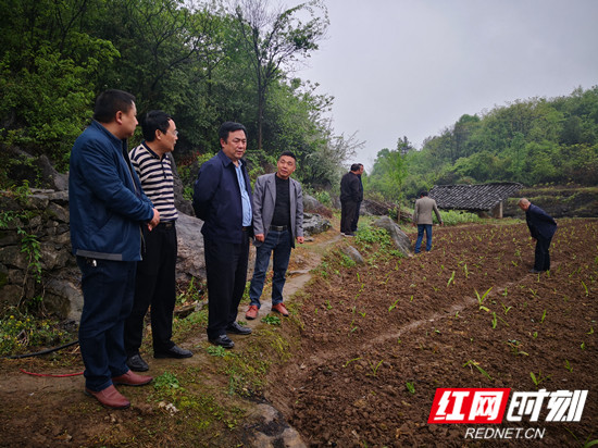 【扫黑除恶】毛志刚赴慈利县高峰土家族乡调研脱贫攻坚、安全生产和扫黑除恶工作