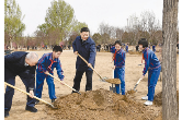 习近平连续七年参加植树，这些细节你注意到了么？