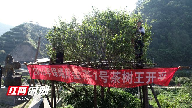 222_副本.jpg