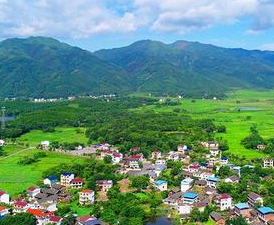 蒋善生率队现场专题协商永州之野田园综合体项目