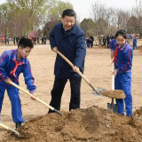 金句来习｜众人植树树成林