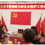 永州市人大调研组就古树名木保护立法来双牌县桐子坳调研