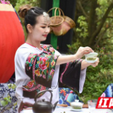 2019保靖黄金茶“最美茶艺师”新鲜出炉