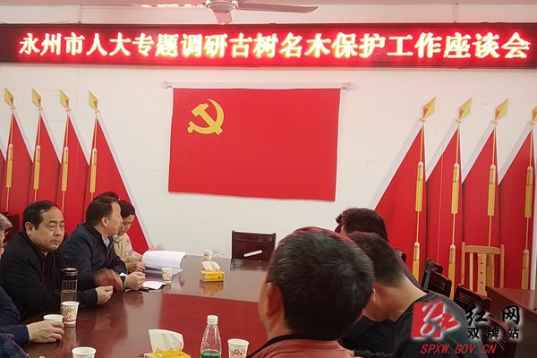 永州市人大调研组就古树名木保护立法来双牌县桐子坳调研
