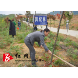 冷水滩：时时勤修整 风清气亦正