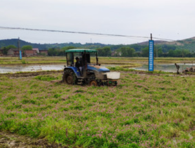 冷水滩：机声“隆隆”忙春耕 全区农业机械化耕作率达95%以上