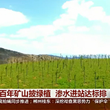 娄底：百年矿山披绿植 渗水进站达标排