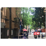 断裂树枝高空挂 社区网格员紧急排险