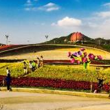 国际展园将呈现怎样的异域风采？——探秘北京世园会国际展园