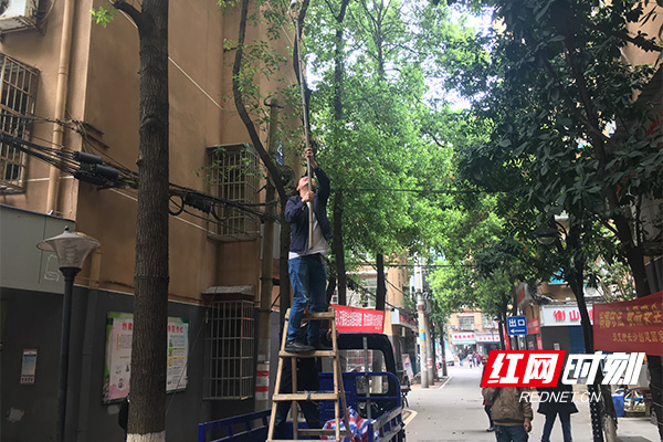 WechatIMG1121.jpg WechatIMG1121.jpg