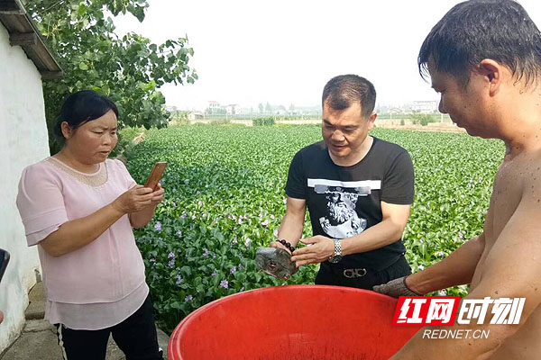 2018年王国顺指导养殖户规范养殖标准wps图片.jpg