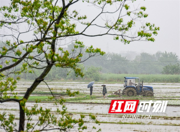 道县祥霖铺镇总人口_道县白芒铺镇地图(3)