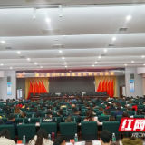 桃江县2019年预备党员转正培训班开班