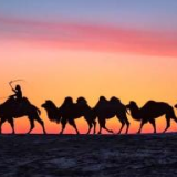 共享一带一路投资机遇