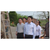 钱丹青到东山镇青泥湾村调研软弱基层党组织整顿工作