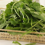 并非天然零污染 公园野菜挖不得