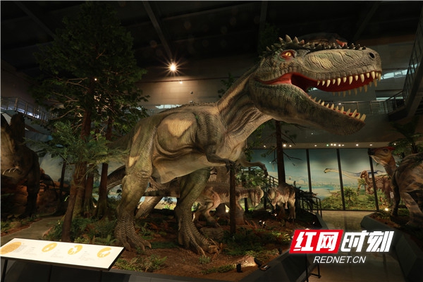 1：1真实复原的恐龙世界展区，“动”起来的恐龙宛如置身真实的恐龙世界。