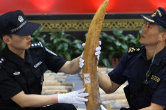 查获7吨多 黄埔海关破获特大走私象牙案