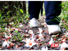 怀化启动徒步线路勘探 知行合一打造“徒步雪峰山”