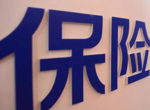 寿险市场经历回转式发展