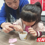 种好人生的第一颗种子 小朋友种盆栽学环保