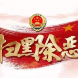 扫黑除恶 | 资阳破获相关刑事案件72起 抓获违法犯罪嫌疑人193名