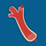 血管里根本没有“垃圾”！这四个谎言就是在坑钱！