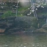 陆海新通道 西部新风景