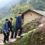 解剖一只麻雀，解决一类问题，总书记重庆之行有何深意？