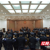 115人获刑 岳麓区法院一审审结一大型恶势力传销犯罪集团系列案