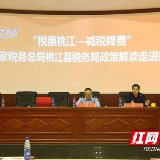 桃江：减税降费面对面 激活园区企业“一汪春水”