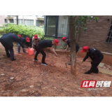裸露黄土披绿衣   播撒种子护蓝天