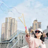 浏河之畔，芙蓉向您发出一份诗意邀约