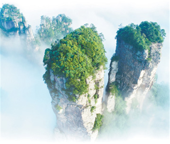 从种山林到种风景（新中国的“第一”·70年）